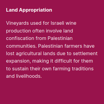 Land Appropriation:
Vineyards used for Israeli wine production often involve land confiscation from Palestinian communities. Palestinian farmers have lost agricultural lands due to settlement expansion, making it difficult for them to sustain their own farming traditions and livelihoods.